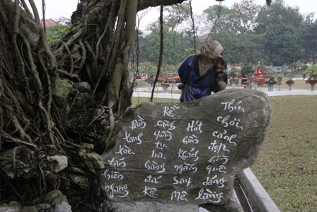 Bonsai, cay the, cây thế,  cay canh nghe thuat, cây cảnh nghệ thuật